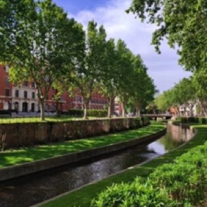 Perpignan, Ille-sur-Têt et Collioure ☀️.#france #city